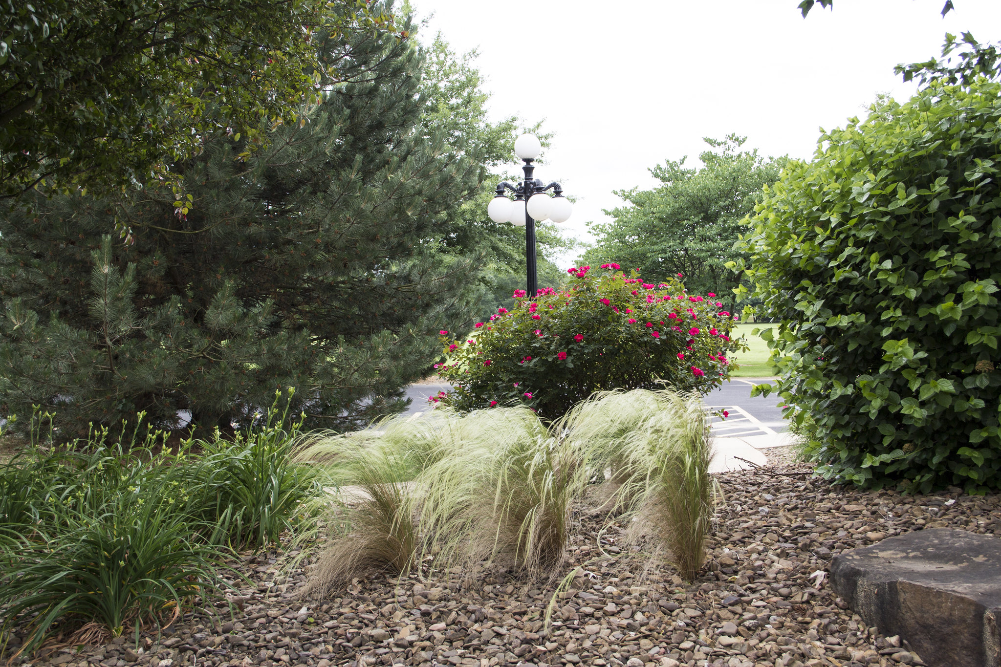 PrayerGarden_rogers.jpg